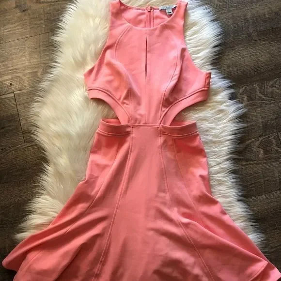 Zac Zac Posen Megan Pink Cutout Fit & Flare Dress - Picture 2 of 7